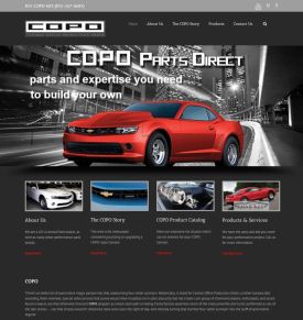 Copo Parts Direct.jpg,275